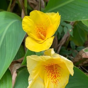 Meet your Posher, Ihunanya